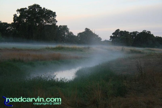 Friday Photo - The Fog (II)